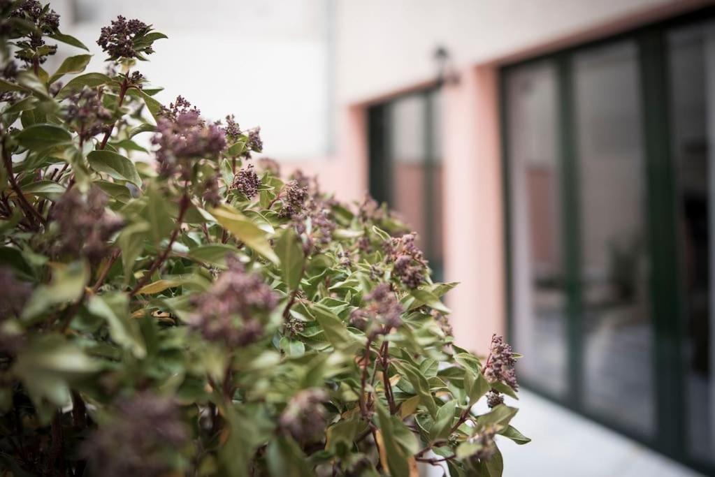 Apartamento En Centro Historico Con Patio Romano Сан-Лоренсо-де-Эль-Эскориаль Экстерьер фото